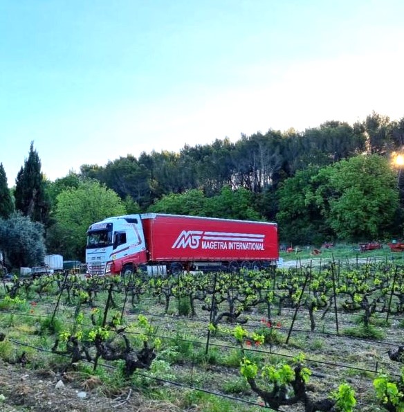 Photo illustrating the following sector: Wine logistics